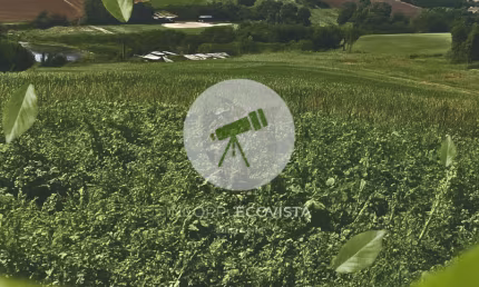 Terrenos à venda em Ibiúna com 500m² em área a 300m do asfalto