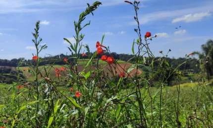 Lotes em Ibiúna/SP a partir de 500m² – Moratta II Localização: