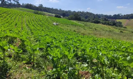 Garanta seu lote em Ibiúna antes que dobre de valor!