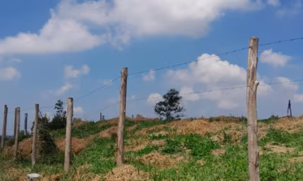 Acesso Fácil! Lotes de 1000m² em São João Novo, São Roque