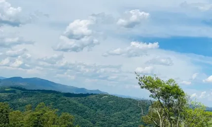 Terrenos com Vista Incrível em São Roque – 1000m² por um Ótimo Valor