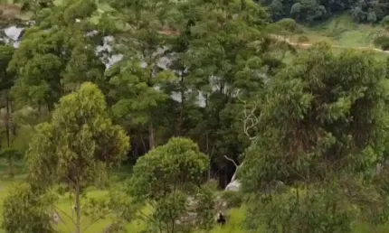 Terrenos com 1.000 m², Vista Incrível e Condições Facilitadas!