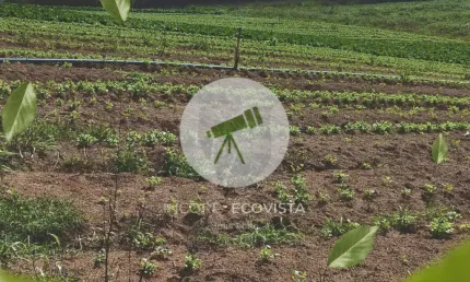 Ibiúna – terrenos amplos de 500m², próximos ao asfalto (300m)