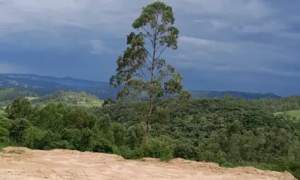 Terreno em condomínio fechado à venda na Rua José Benedito Rodrigues, Centro (São João Novo), São Roque