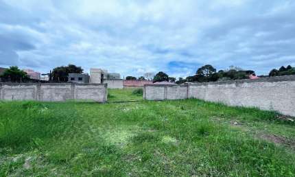 TERRENO COM  2500M²  EXCELENTE PARA  CONDOMÍNIO DE SOBRADOS