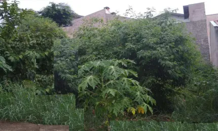 Terreno à venda, 250 m² por R$ 360.000,00 - Jardim Bela Vista - Indaiatuba/SP