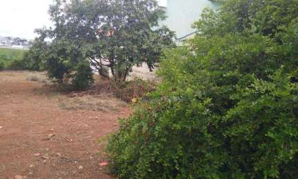 Terreno à venda, 286 m² por R$ 380.000,00 - Jardim Regina - Indaiatuba/SP