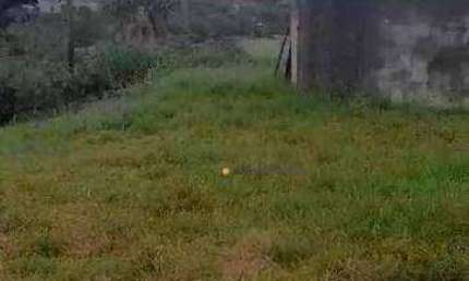 Terreno à venda, 1000 m² por R$ 430.000,00 - Recanto Campestre Internacional de Viracopos Gleba 6 - Indaiatuba/SP