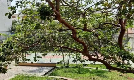 Apartamento com 1 quarto à venda na Rua do Cristal, Vila Mariana, São Paulo