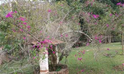 Chácara com 3 quartos à venda em Jardim São Luiz (caucaia Do Alto) - SP