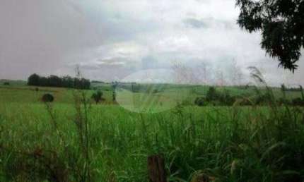 Fazenda à venda na Avenida Orlando Vedovello, s/n°, Parque da Represa, Paulínia por R$ 10.700.000
