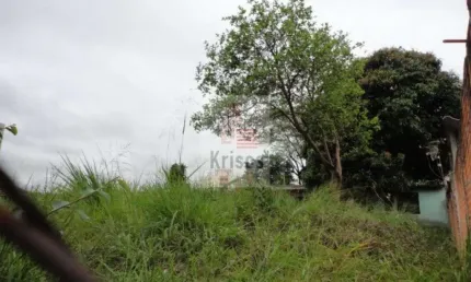 Terreno à venda na Rua Jerônimo França, 136, Vila Indiana, São Paulo