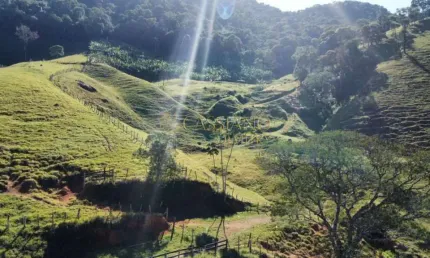 Sítio à venda de 117.000,00m² | Centro - São Francisco Xavier |
