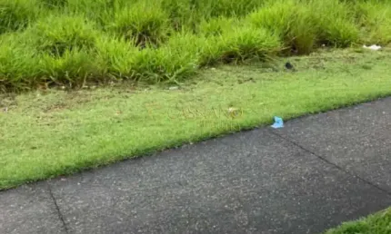 Terreno à venda no Loteamento Floresta, São José dos Campos 