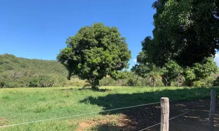 Fazenda com 3 salas à venda na Núcleo Rural Rio Preto, Planaltina, Brasília