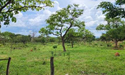 -Belíssima chácara, ampla, ótima qualidade de terra, localização privilegiada,  núcleo rural casa grande, ponte alta gama df, linda propriedade com excelente infraestrutura.
