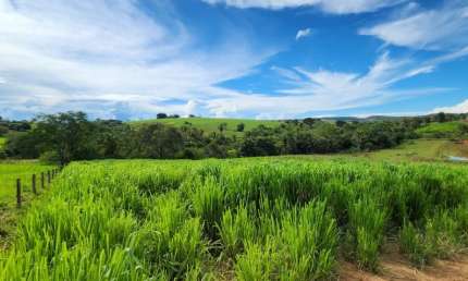 -Fazenda 10hectares, excelente localização, terra cultura, dupla aptidão chácara, rica em agua