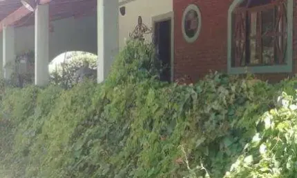 Terreno comercial à venda na Avenida Edméia Mattos Lazzarotti, Várzea das Flores, Betim, 1900 m2 por R$ 1.156.000