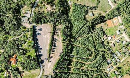 Excelente área de 63.000m² com Pinus, Eucaliptus e Barracão de 450m² - Córrego Fundo, São José dos Pinhais!
