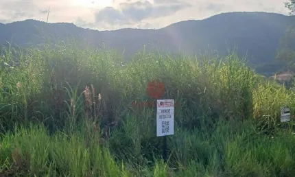 Terreno à venda, 439 m² por R$ 670.000,00 - Pedra Branca - Palhoça/SC