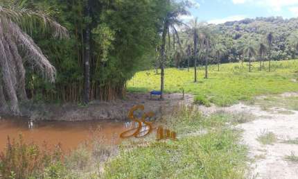 Fazenda com 4 salas à venda em Azurita, Mateus Leme 