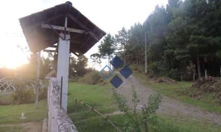 Chácara / sítio com 4 quartos à venda na ÁRea Rural, 646, Zona Rural, Tijucas do Sul