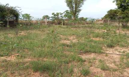 Terreno de1200m² à venda - Maria Vitória 1, Dois Córregos (SP)