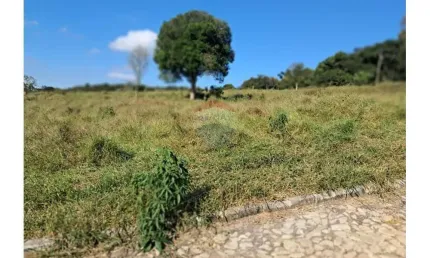 Terreno à venda em Buarque De Macedo, Conselheiro Lafaiete 