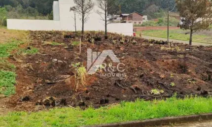 Terreno à venda na Estrada Municipal Avelina Tomazzoni Piccoli, 1, Monte Bérico, Caxias do Sul por R$ 180.000