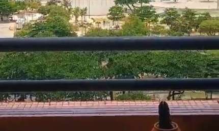 Flat com 1 quarto à venda na Rua Doutor Luiz Inácio Pessoa de Melo, 81, Boa Viagem, Recife