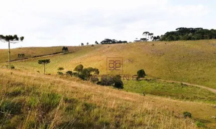 Sítio à venda, 343000 m² por R$ 1.007.000,00 - Zona Rural - São Francisco de Paula/RS