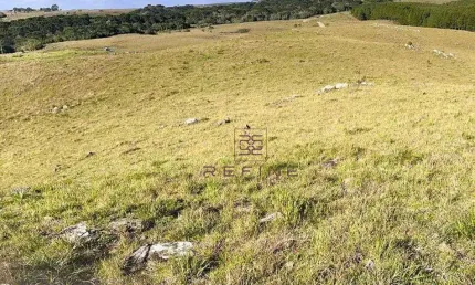 Sítio à venda, 316624 m² por r$ 1.100.000,00 - tainhas - são francisco de paula/rs