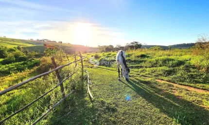 Sítio à venda, São Francisco de Assis, Matias Barbosa, MG