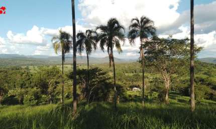Chácara / sítio com 2 quartos à venda na Zona Rural, 200, Centro, Pirenópolis por R$ 380.000