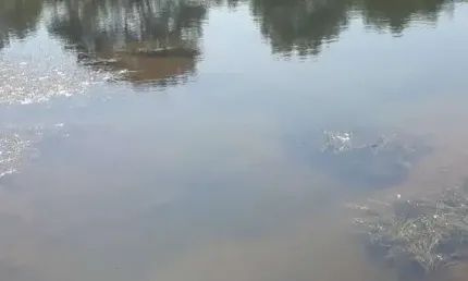 Fazenda à venda na Zona Rural, 101, Zona Rural, Cocalzinho de Goiás por R$ 3.300.000