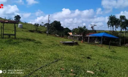 Chácara / sítio à venda na Av. Amazonas, 5, Área Rural de Planaltina, Planaltina por R$ 550.000