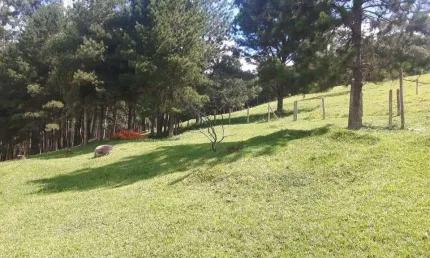 Chácara / sítio à venda na Sítio São Pedro, Carmo Messias, Ibiúna