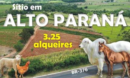 Chácara / sítio à venda na Br376, 100, Zona Rural, Alto Paraná