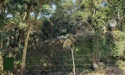 Terreno à venda na Bela Vista, Caxias do Sul 