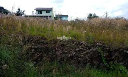 Terreno à venda na Nossa Senhora das Graças, Caxias do Sul 