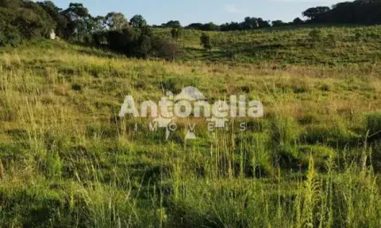 Terreno à venda na Vila Oliva (Distrito), Caxias do Sul 