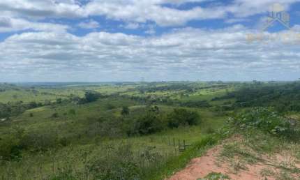 Fazenda à Venda em Região Bauru/SP - 155 Alqueires, pecuária