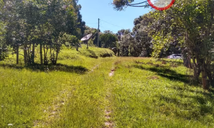 Chácara / sítio com 2 quartos à venda na São Gotardo, Vila Seca, Caxias do Sul