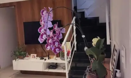 Casa em Condomínio Mobiliada para Venda em Mogi das Cruzes, Vila Lavínia, 2 dormitórios, 2 suítes, 3 banheiros, 1 vaga