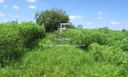 Fazenda para venda em cachoeiras de macacu, papucaia