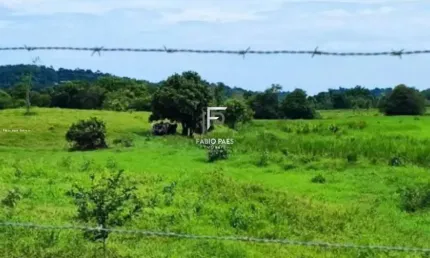 Fazenda para venda em cachoeiras de macacu, área rural