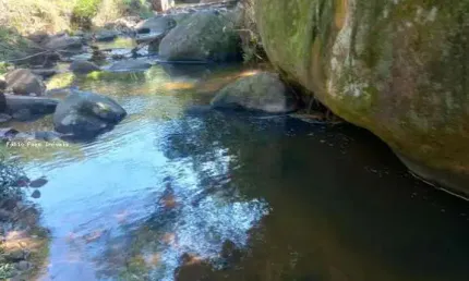 Fazenda para venda em cachoeiras de macacu, area rual, 2 dormitórios, 1 banheiro, 2 vagas