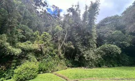 Chácara para Venda em Campina Grande do Sul, Taquari