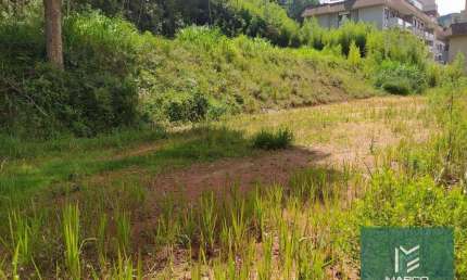 Terreno à venda, 20000 m² por R$ 2.000.000,00 - Várzea - Teresópolis/RJ