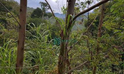 Terreno à venda, 2938 m² por R$ 150.000 - Prata - Teresópolis/RJ